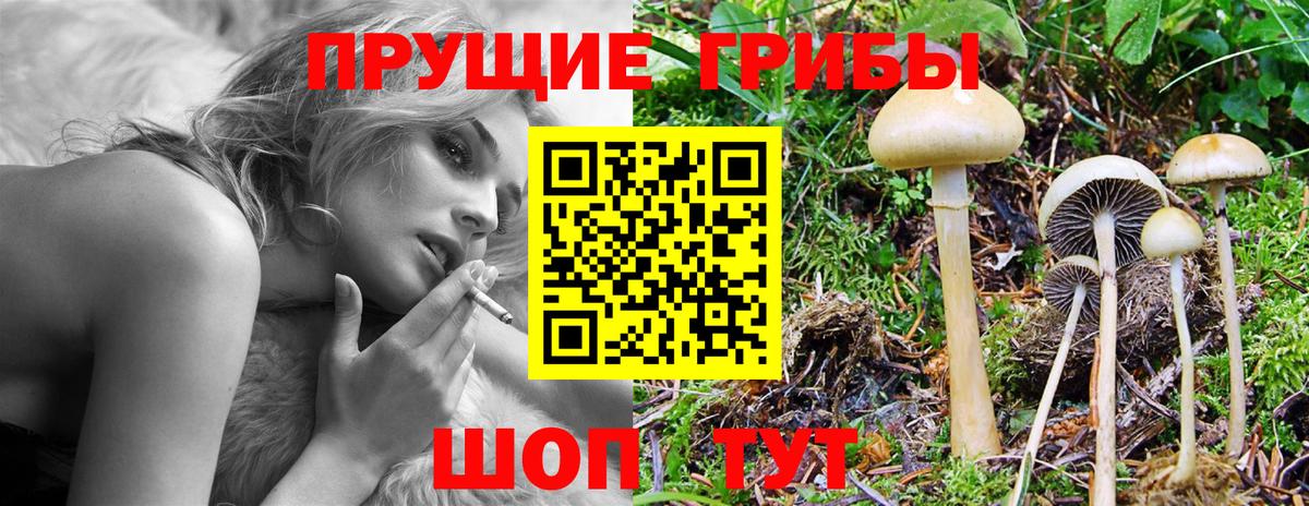 Сибай  Псилоцибиновые грибы MAGIC MUSHROOMS  Вход с VPN 