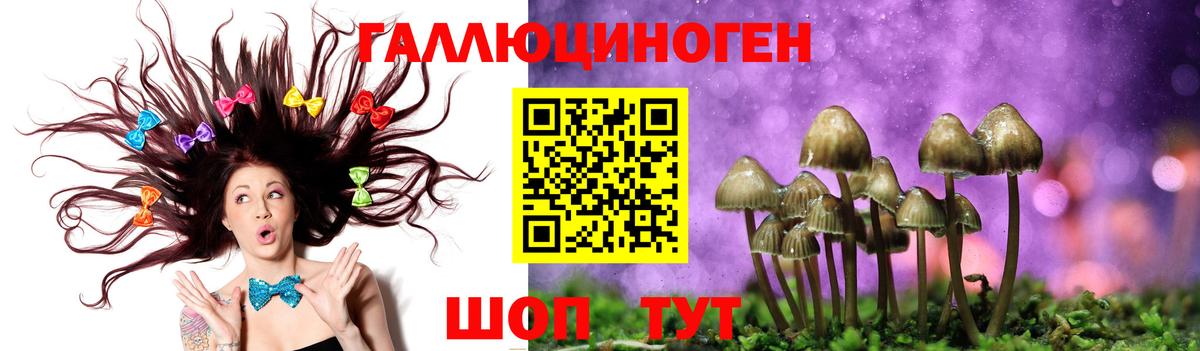 Псилоцибиновые грибы Psilocybe Сибай